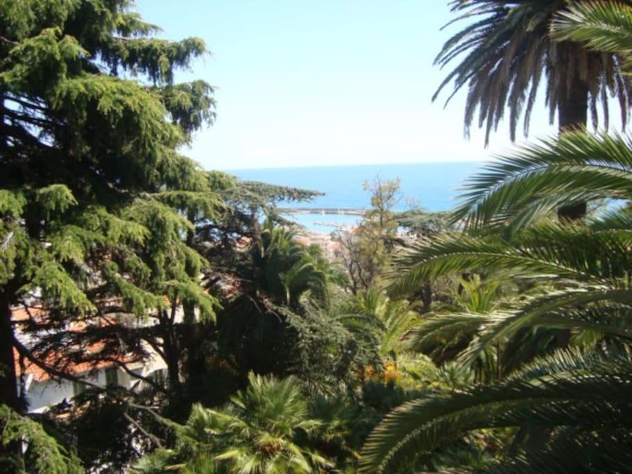 Mini Accommodation In Sanremo Liguria Exteriér fotografie